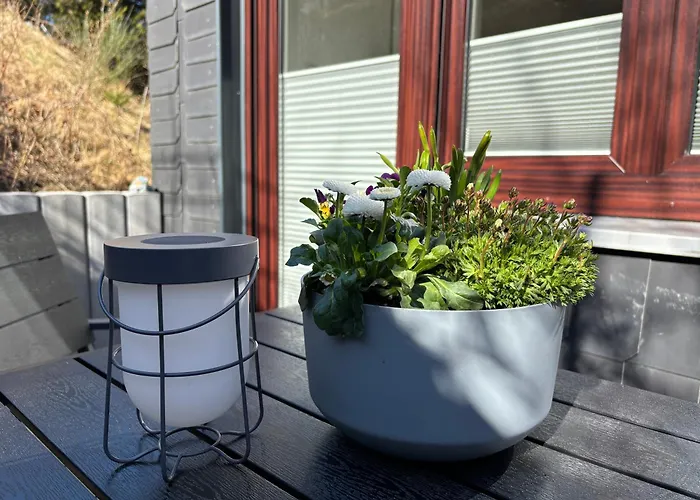 Dein Winterberg Apartment - Wifi Geschirrspueler Smart Tv