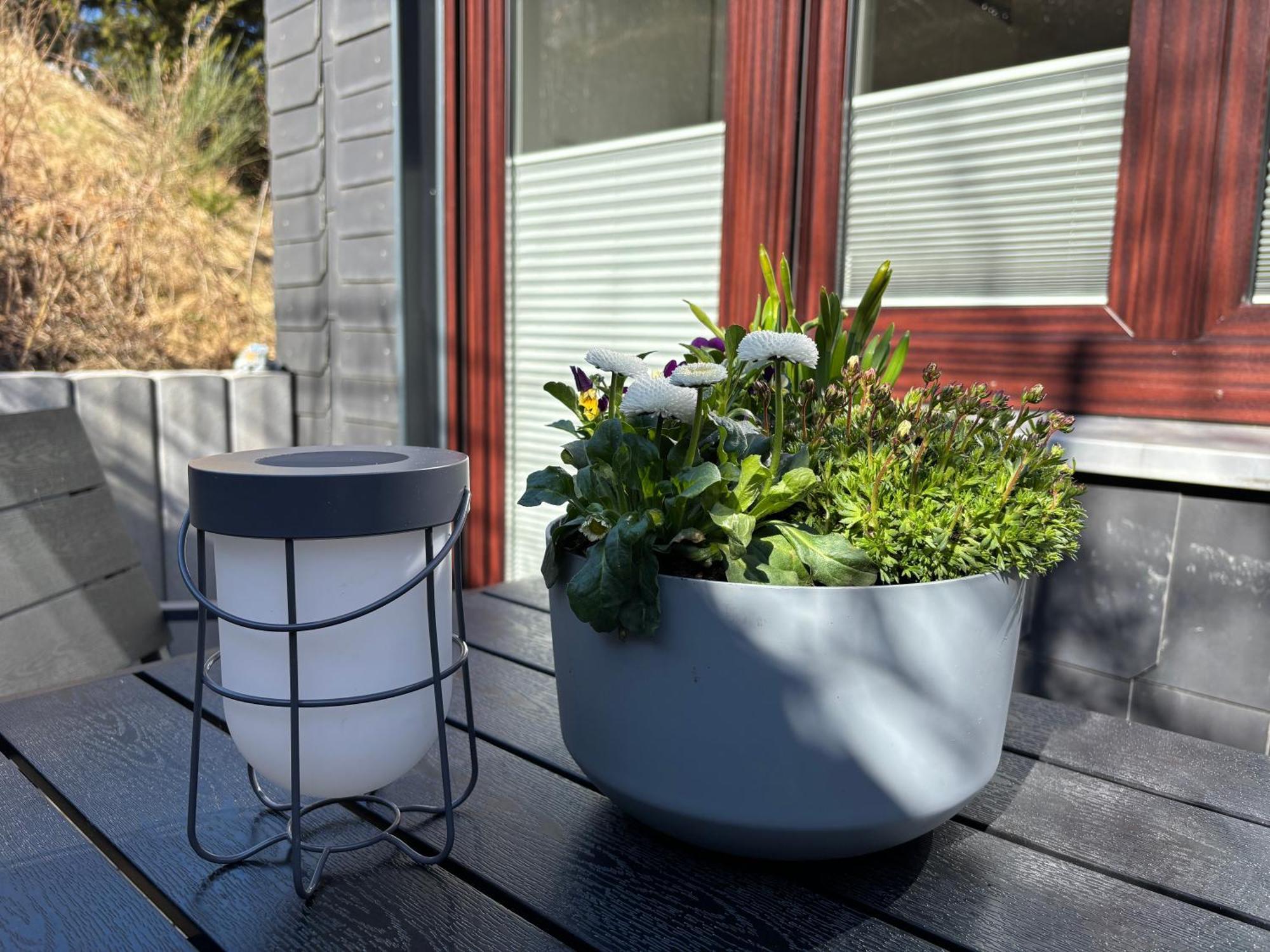 Apartment Dein - Wifi Geschirrspueler Smart Tv *